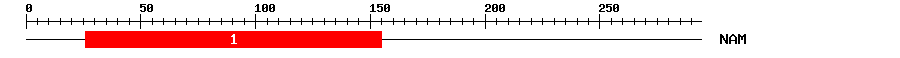 Signature Domain