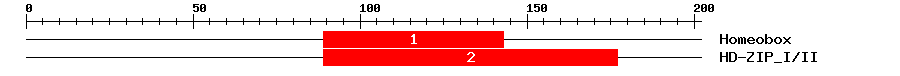 Signature Domain