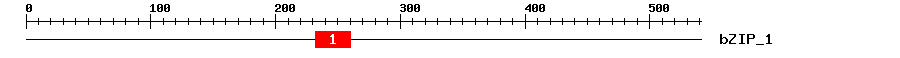 Signature Domain