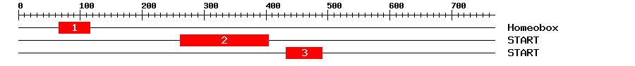 Signature Domain