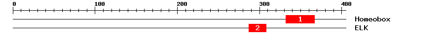 Signature Domain