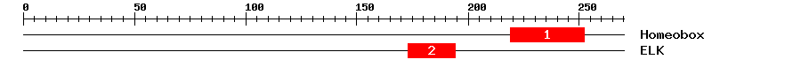 Signature Domain
