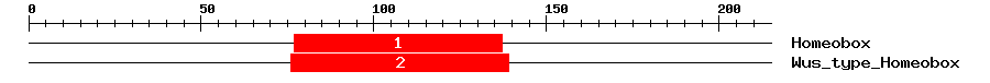 Signature Domain