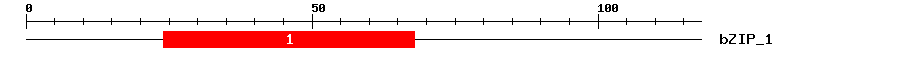 Signature Domain