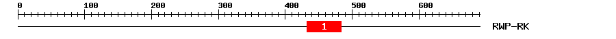 Signature Domain