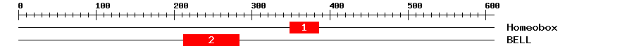 Signature Domain