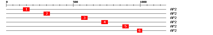 Signature Domain