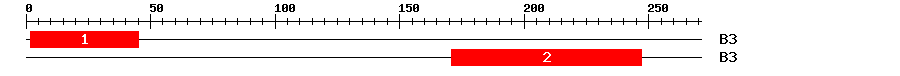 Signature Domain