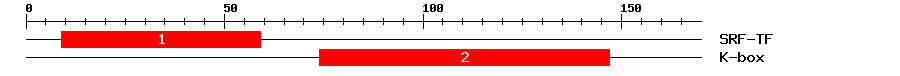 Signature Domain