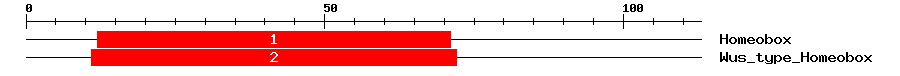 Signature Domain