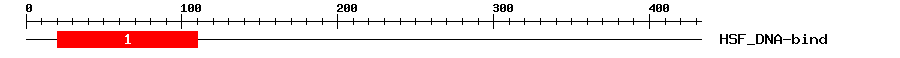 Signature Domain