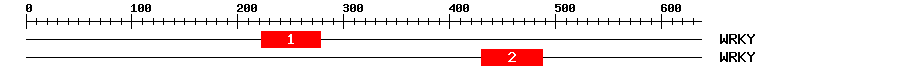 Signature Domain