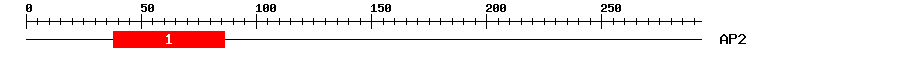 Signature Domain