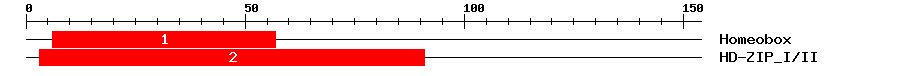 Signature Domain