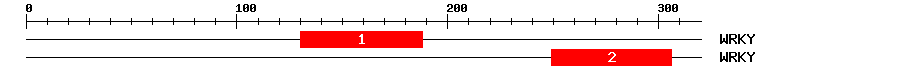 Signature Domain