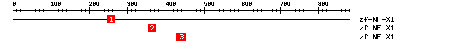 Signature Domain
