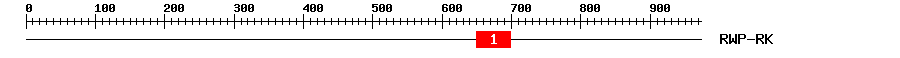 Signature Domain
