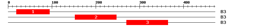 Signature Domain