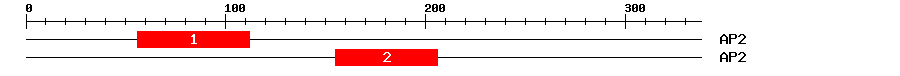 Signature Domain