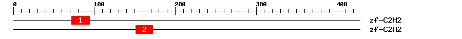 Signature Domain