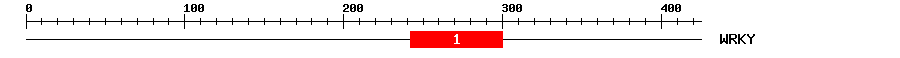 Signature Domain