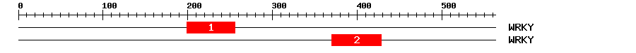 Signature Domain