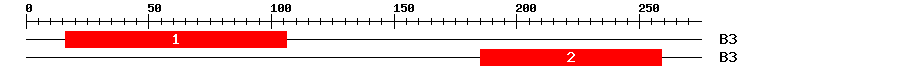 Signature Domain