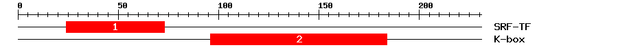 Signature Domain
