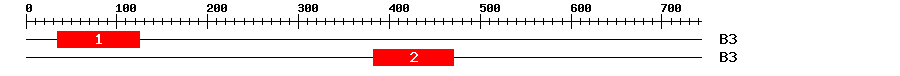 Signature Domain