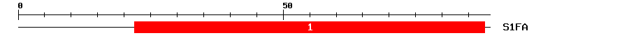 Signature Domain