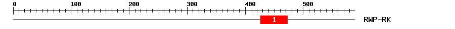 Signature Domain