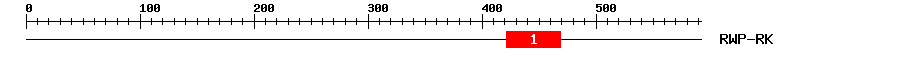 Signature Domain