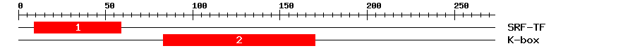 Signature Domain