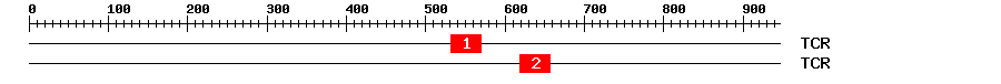 Signature Domain