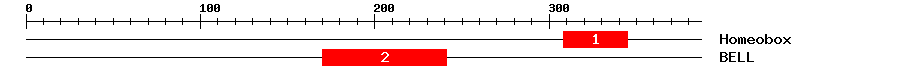 Signature Domain