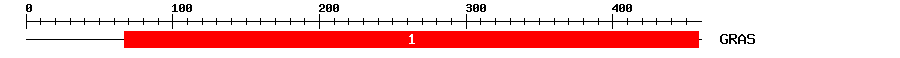 Signature Domain