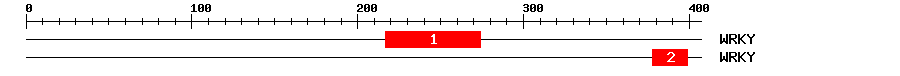 Signature Domain