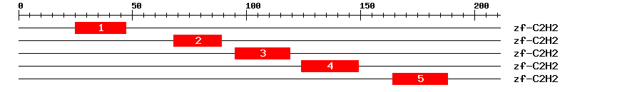 Signature Domain