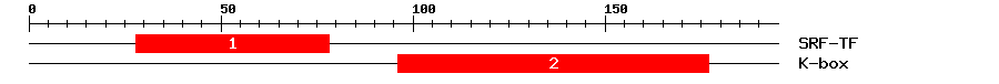 Signature Domain