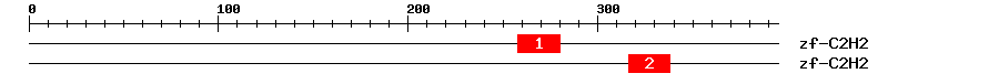 Signature Domain
