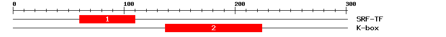 Signature Domain