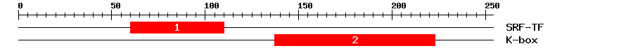 Signature Domain