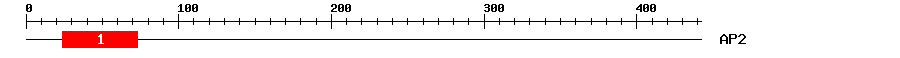 Signature Domain