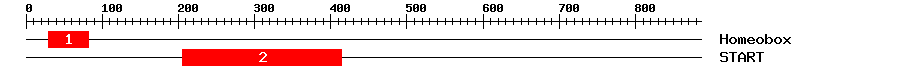 Signature Domain