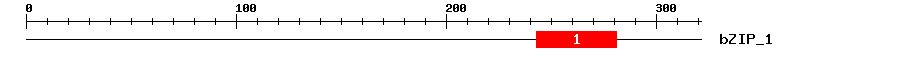 Signature Domain