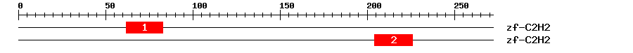 Signature Domain