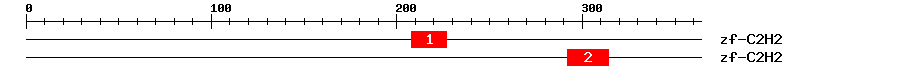 Signature Domain