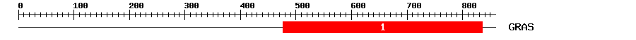 Signature Domain