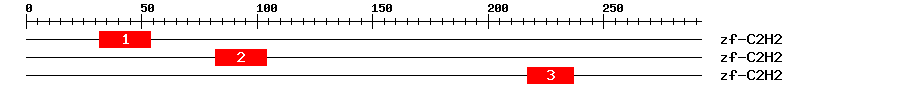 Signature Domain