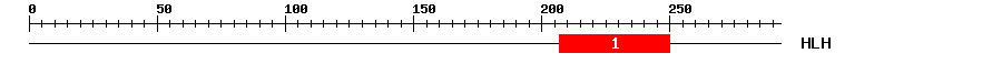 Signature Domain